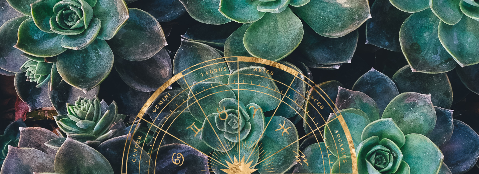 Introduction to Astrology & Your Natal Chart