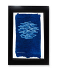Lineage (Dried Anchovies) Framed Artwork
