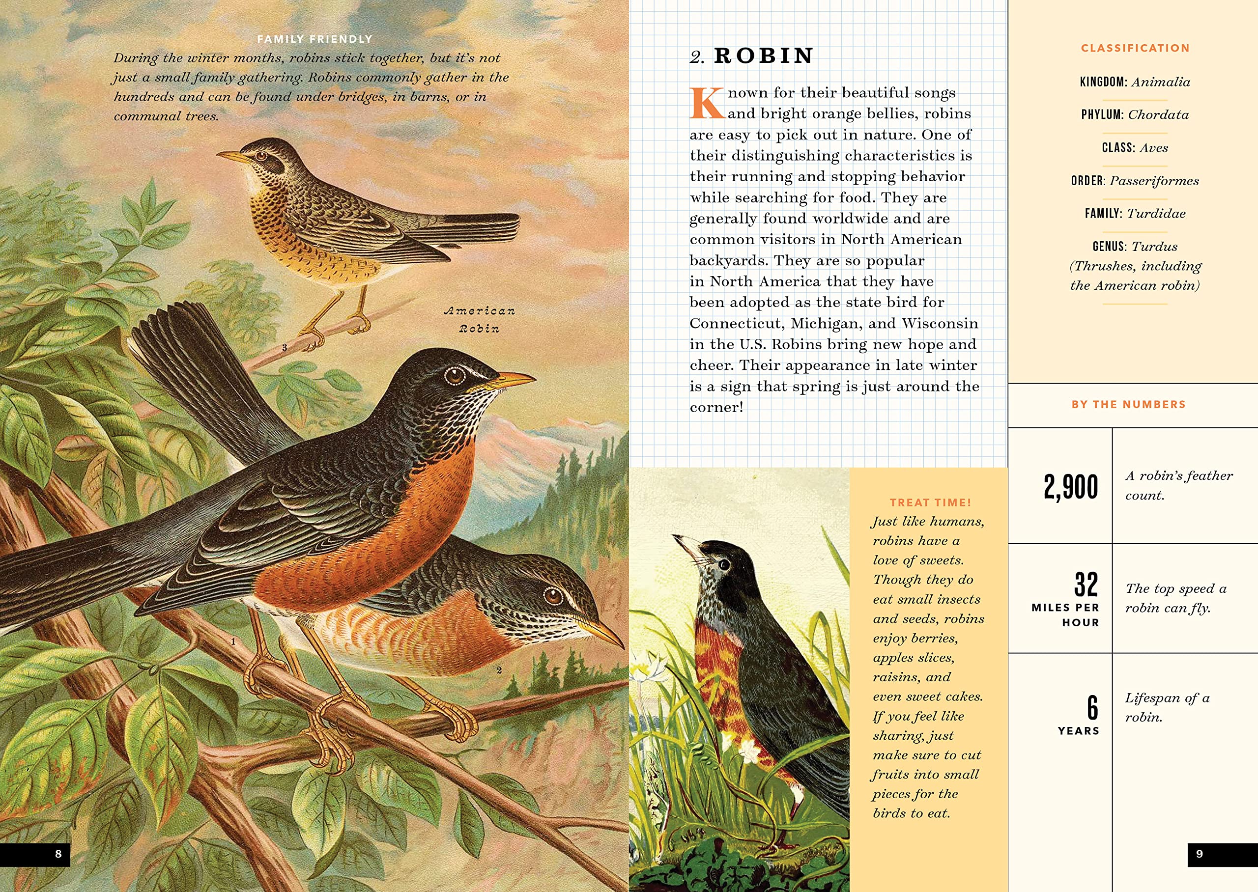 The Little Book of North American Birds – Labour Of Love