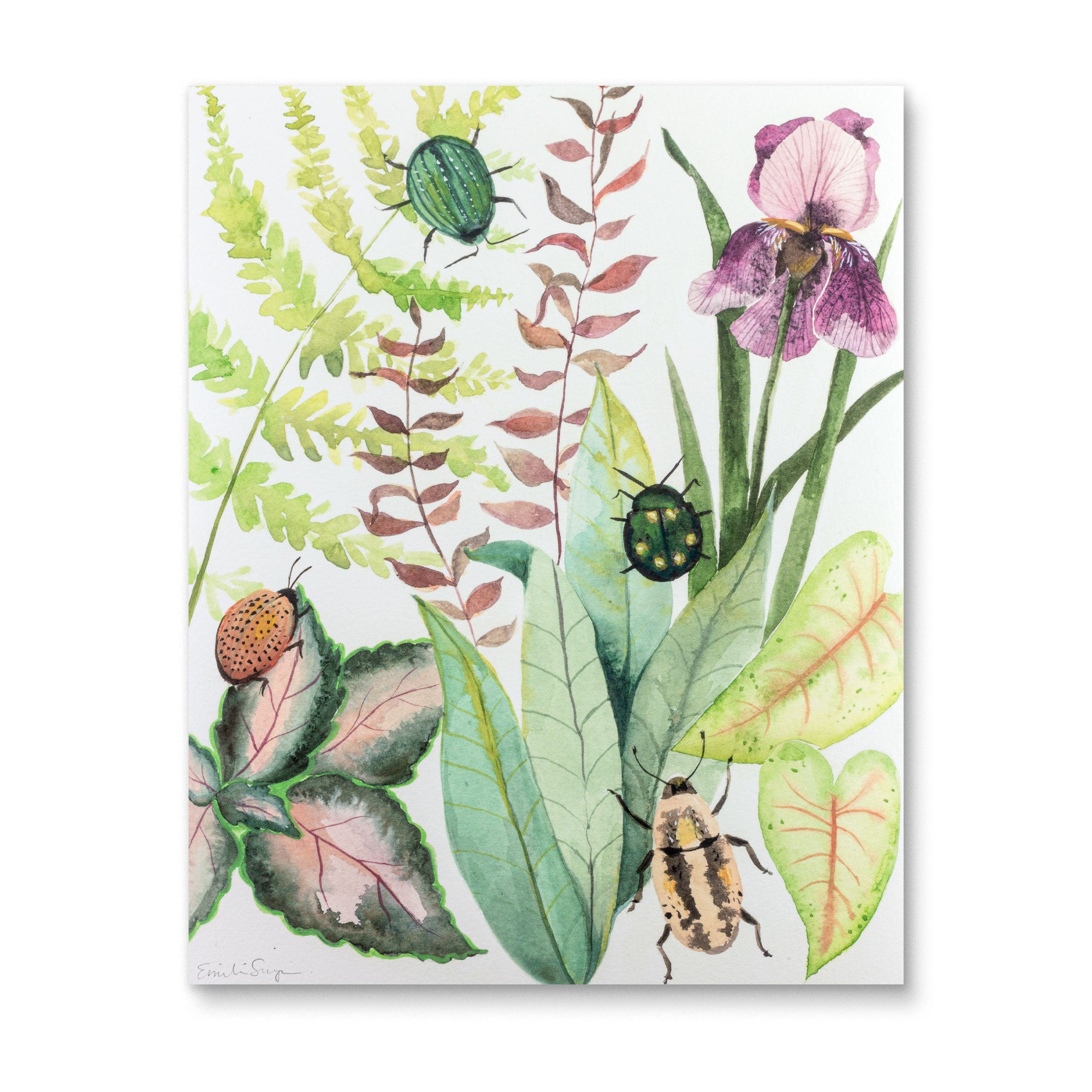 Emilie Simpson - Garden Beetles Art Print