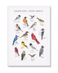 Emilie Simpson - Garden Birds Of North America Print
