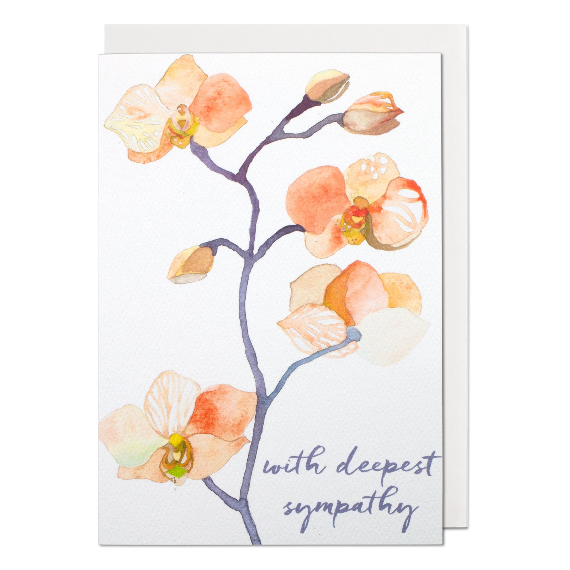 Peach Orchid Greeting Card