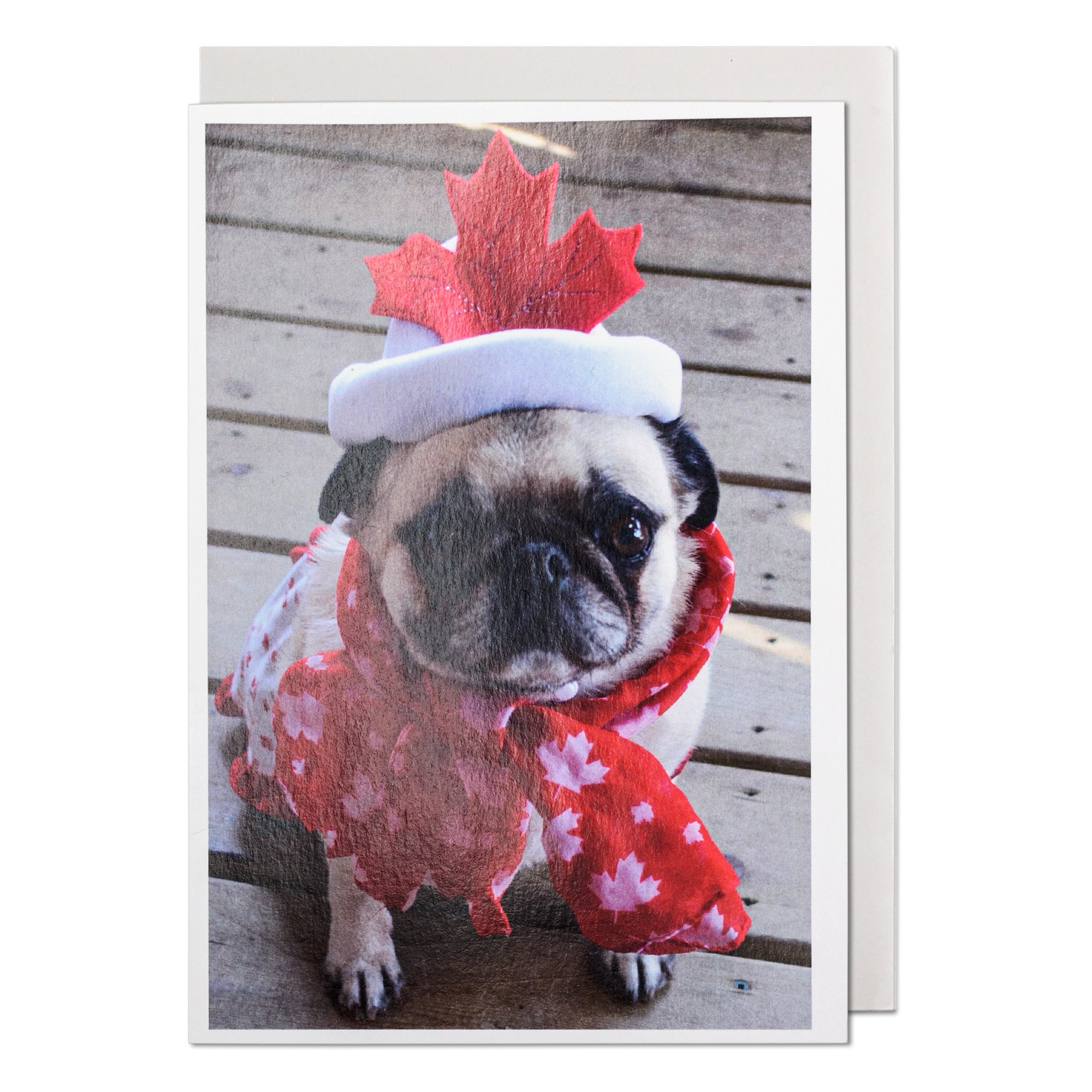 Happy Holidays Canada Pug Greeting Card