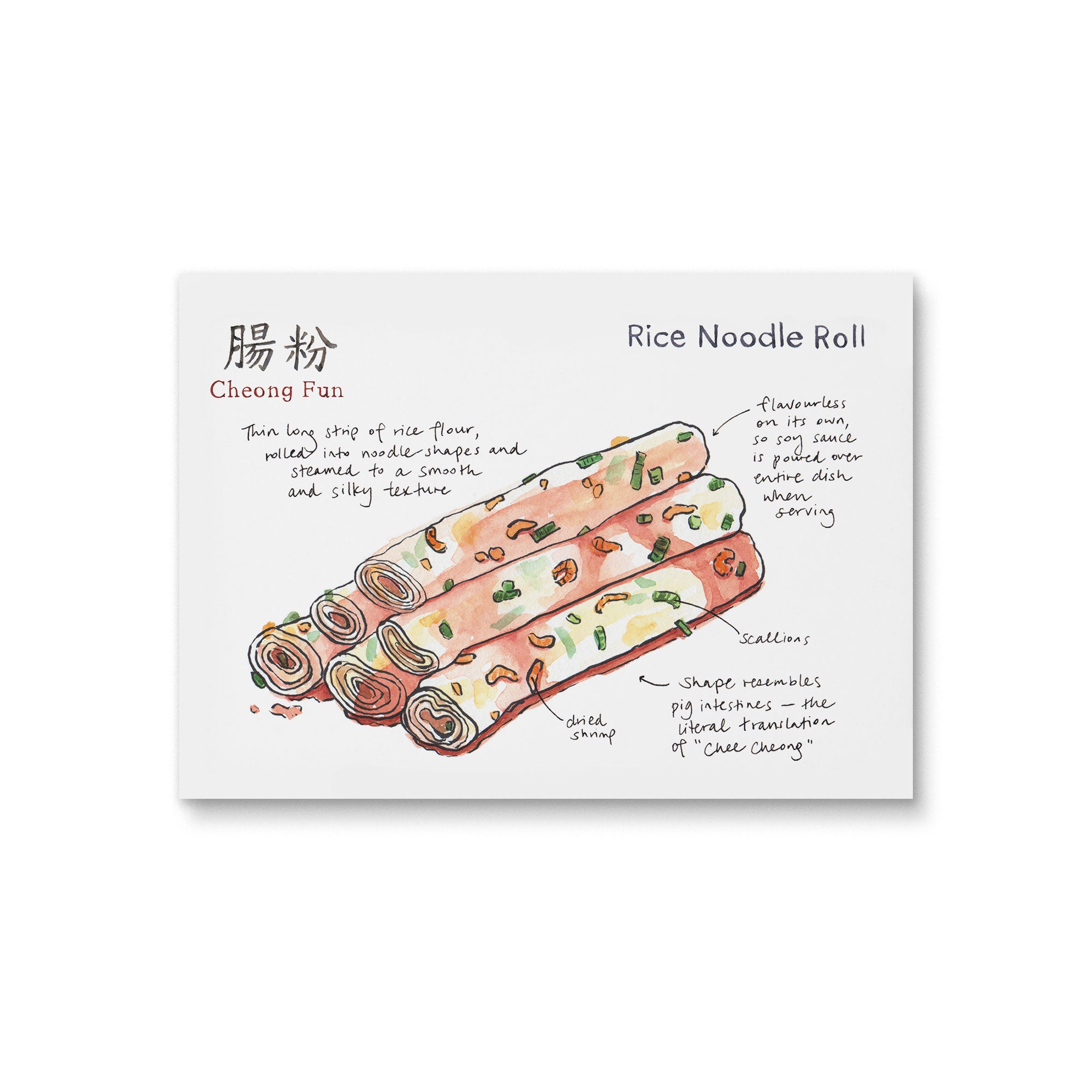 Rice Noodle Roll Archival Print