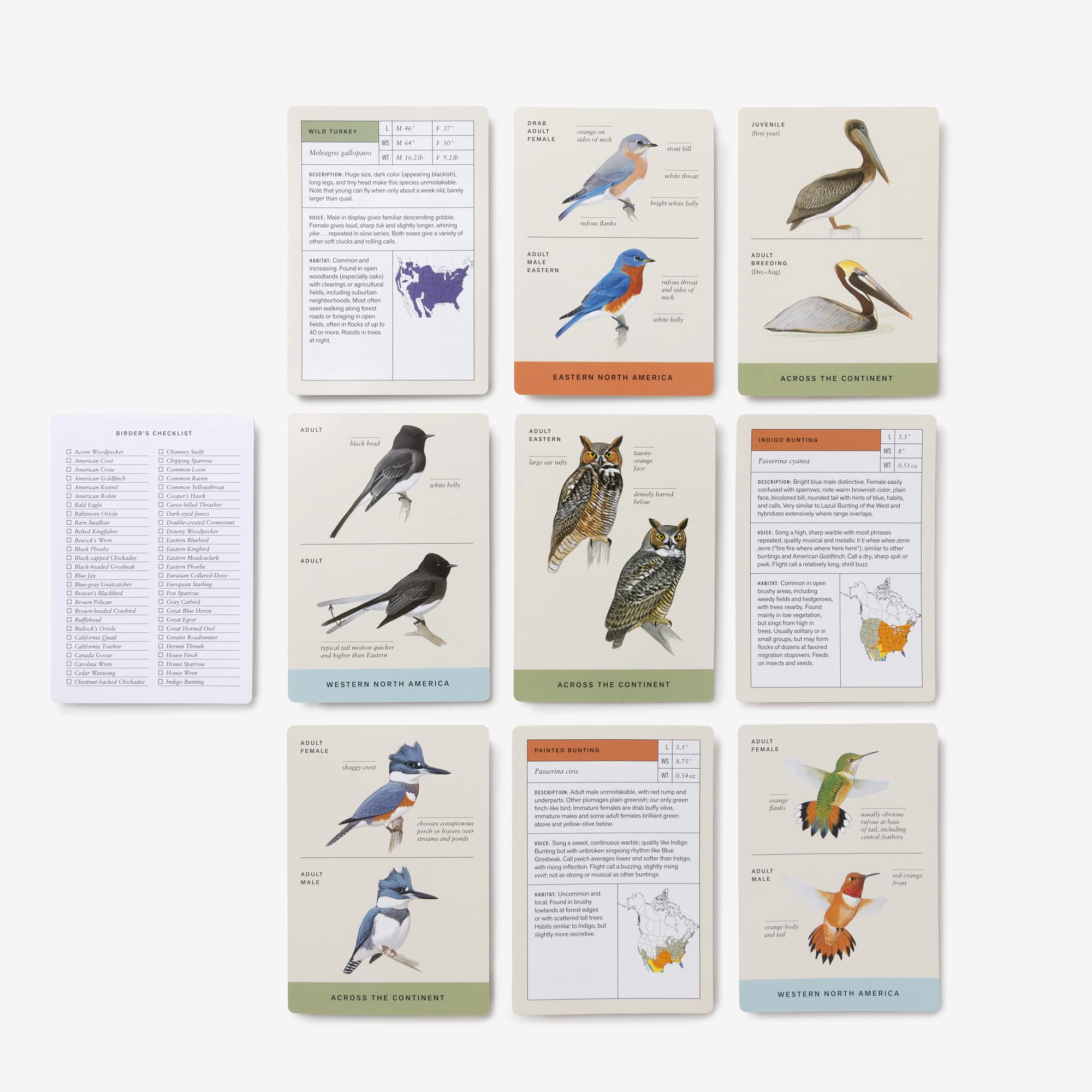 Sibley Backyard Birding Flashcards