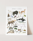 Emilie Simpson - Animals of Canada Print