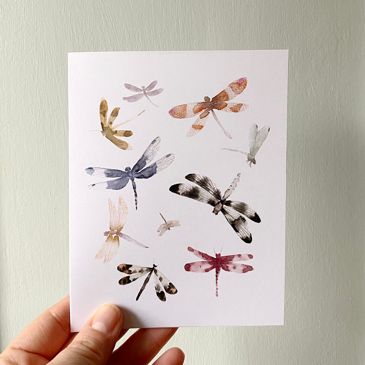 Dragonflies Greeting Card