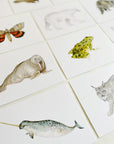 Animals of Canada Postcard Set